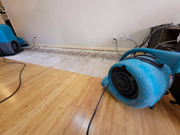 Professional Basement Flood Cleanup technician working in Saluda, SC